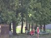 1. festacek 30.7.2016 (18)