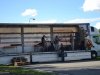 1. festacek 30.7.2016 (26)