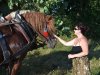 1. festacek 30.7.2016 (30)