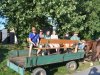 1. festacek 30.7.2016 (32)