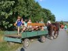 1. festacek 30.7.2016 (33)