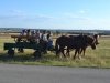 1. festacek 30.7.2016 (38)