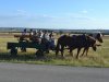 1. festacek 30.7.2016 (39)