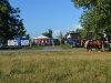 1. festacek 30.7.2016 (41)