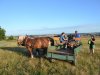 1. festacek 30.7.2016 (55)
