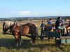 1. festacek 30.7.2016 (56)