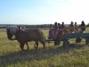 1. festacek 30.7.2016 (57)