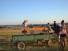 1. festacek 30.7.2016 (74)