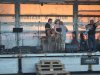 1. festacek 30.7.2016 (81)