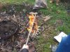 silvestr2018 (3)