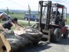 Drevosochani 2014 (101)