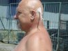 Drevosochani 2014 (139)