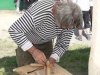 Drevosochani 2014 (170)