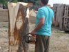 Drevosochani 2014 (2)
