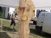 Drevosochani 2014 (26)