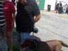 Drevosochani 2014 (261)