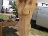 Drevosochani 2014 (27)