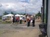 Drevosochani 2014 (293)