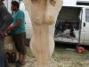 Drevosochani 2014 (32)