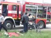 Drevosochani 2014 (328)