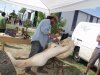 Drevosochani 2014 (43)