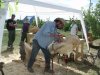 Drevosochani 2014 (47)