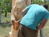 Drevosochani 2014 (6)