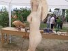 Drevosochani 2014 (68)