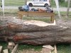 Drevosochani 2014 (79)