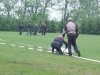 oblast 18.5.2014 (79)
