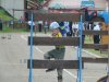MH sobota 28.5 (63)
