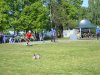 okrsek 21.5.2016 (21)