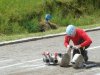 DSC00390