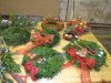 vence 2015 (33)