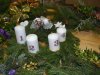vence 2015 (41)