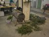 vence 2015 (5)